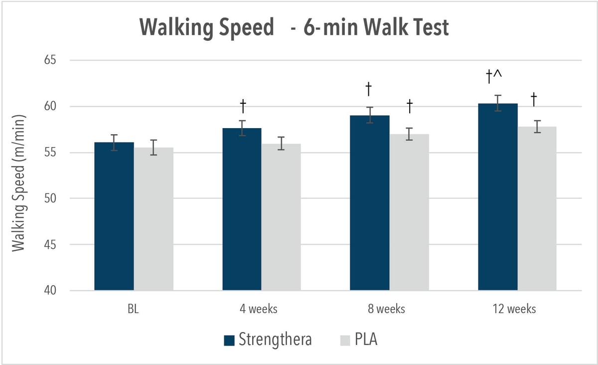 Strengthera-Charts-2