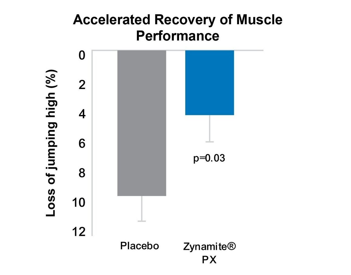 Zynamite-PX-Charts-Accelerated-Recovery-of-Muscle-Performance-1