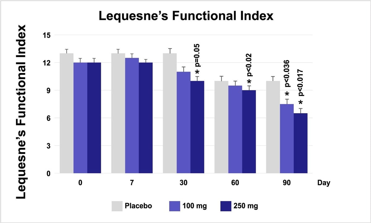 5-LOXIN-Lequesnes-Functional-Index-11-29-2023-v1-Final