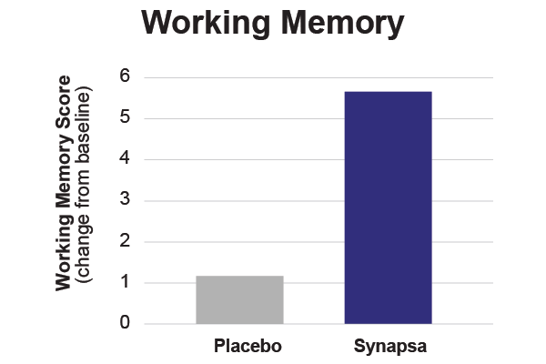 Synapsa-Working Memory-11-29-2023